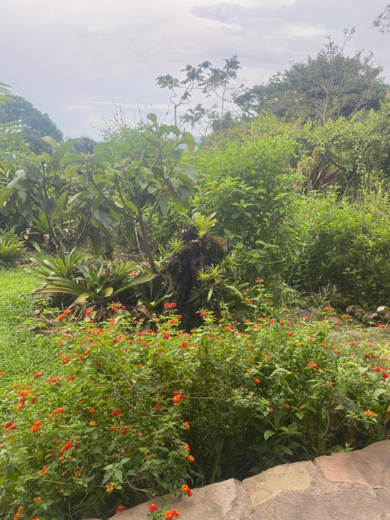 Birds & Breakfast Costa Rica Bed and Breakfast La Tigra  Exteriör bild