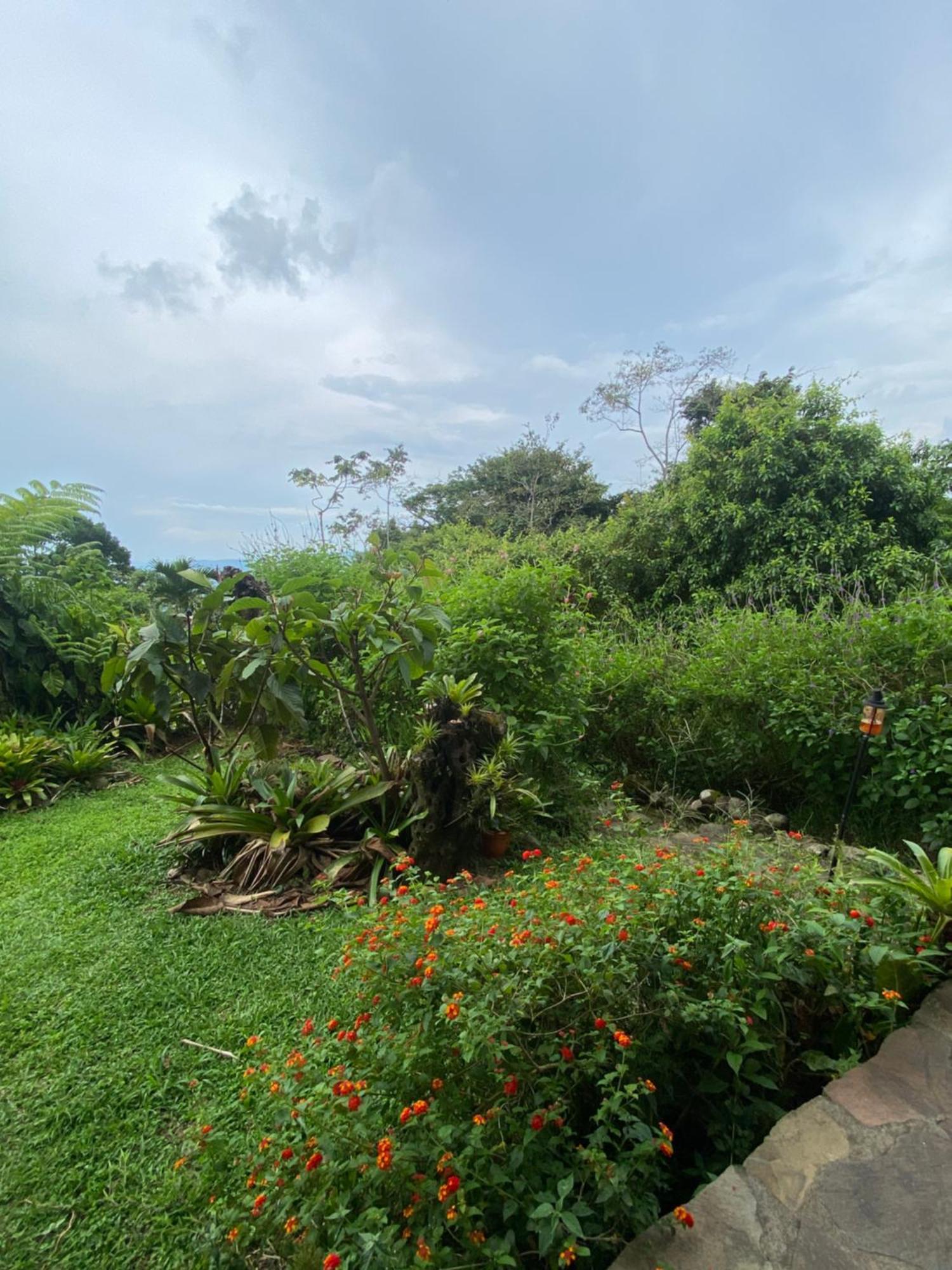 Birds & Breakfast Costa Rica Bed and Breakfast La Tigra  Exteriör bild