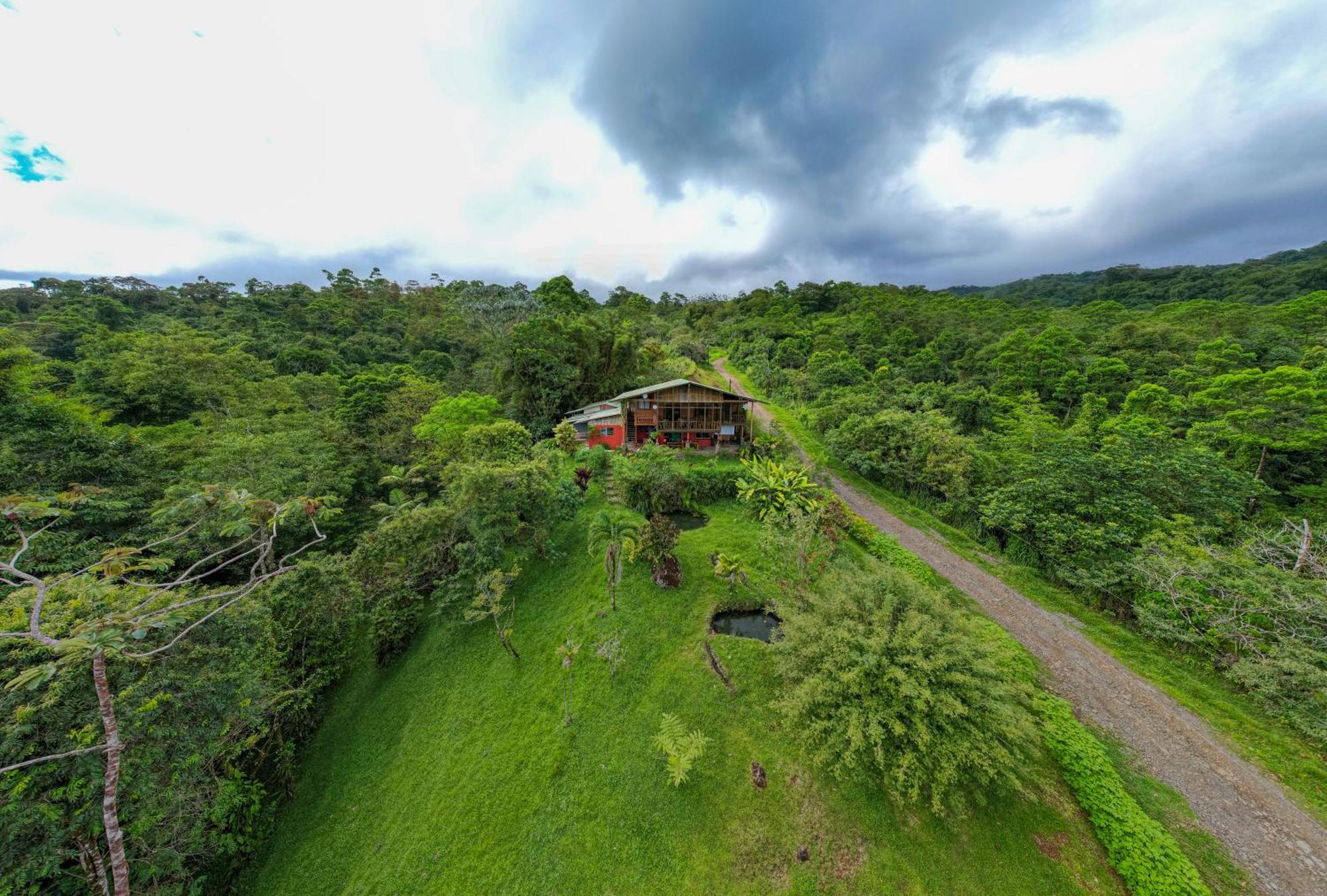 Birds & Breakfast Costa Rica Bed and Breakfast La Tigra  Exteriör bild