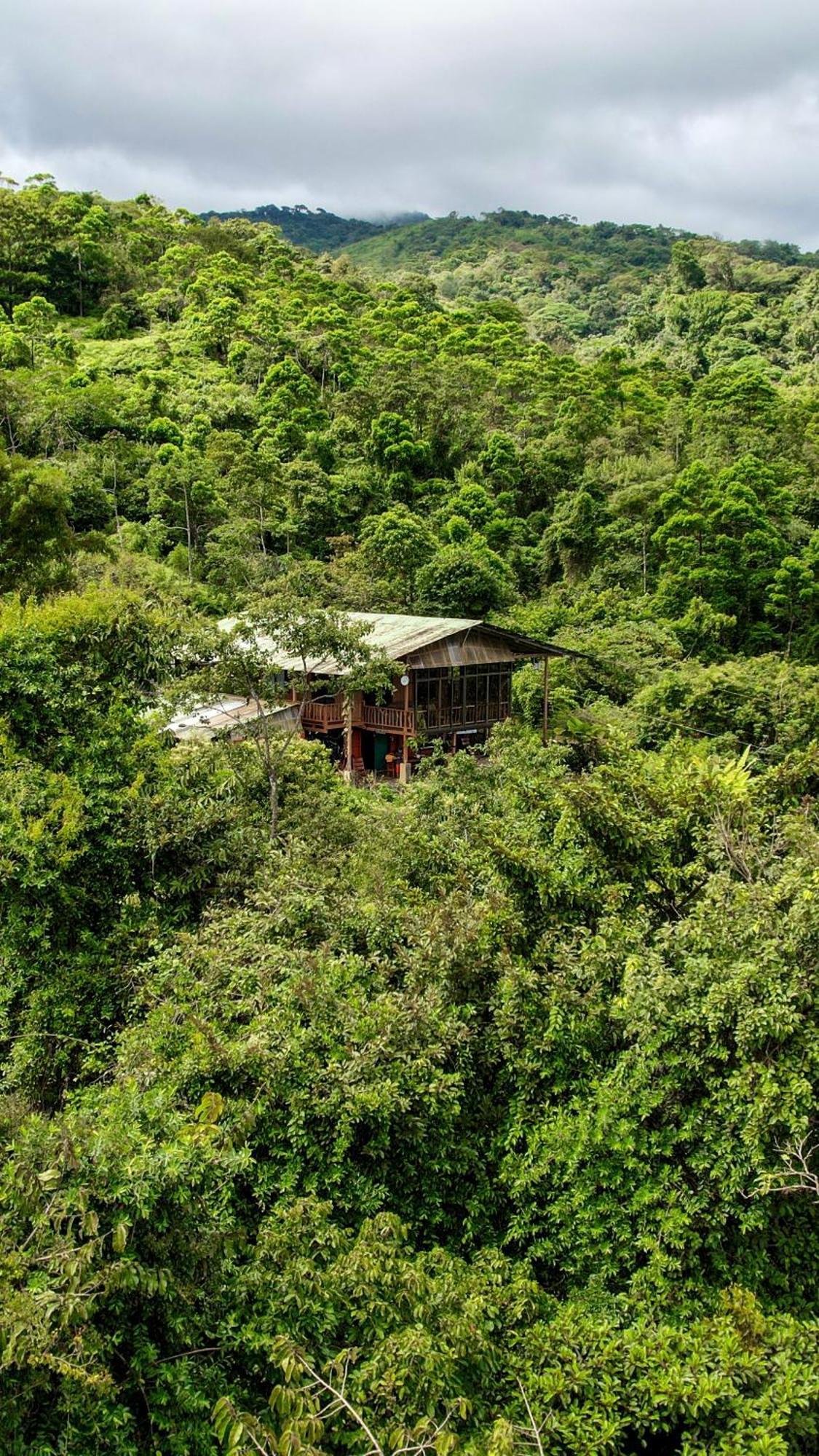 Birds & Breakfast Costa Rica Bed and Breakfast La Tigra  Exteriör bild